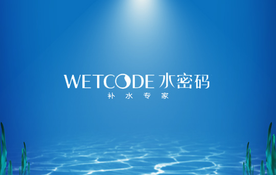 水密碼網站建設